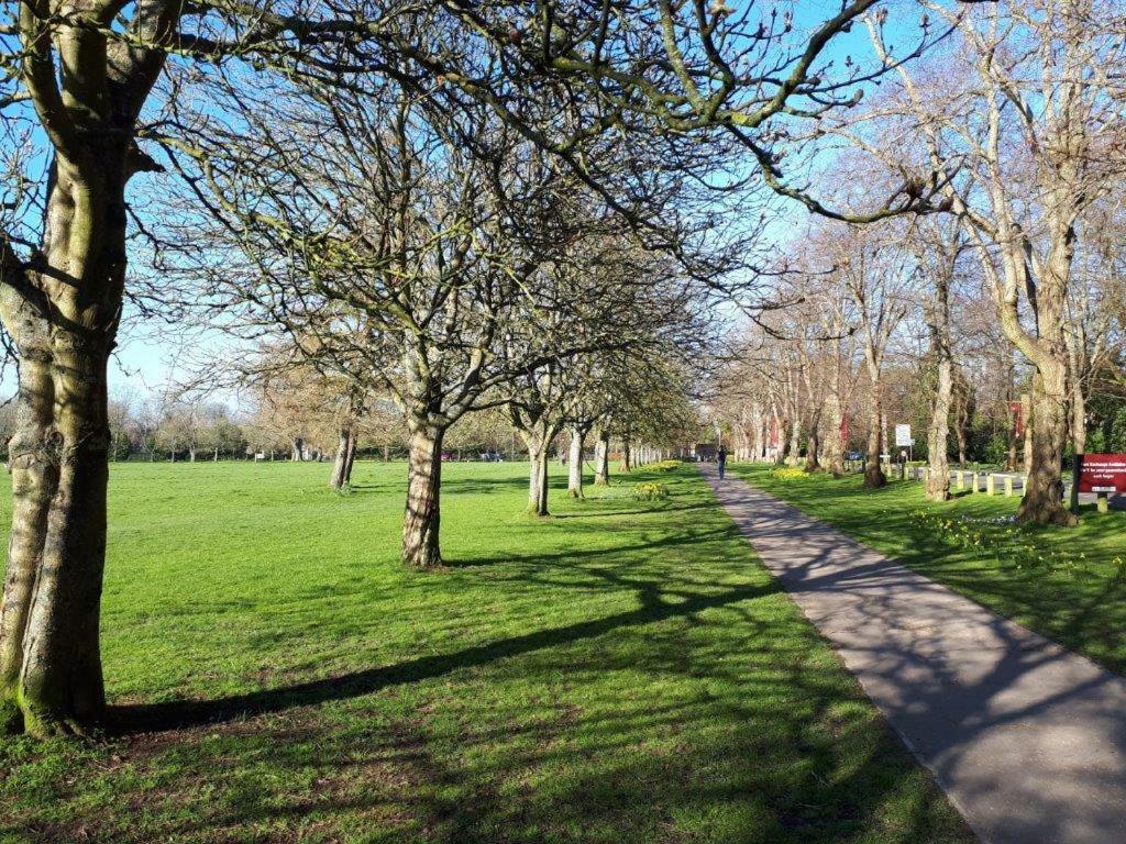 Marlyn In Chichester Daire Dış mekan fotoğraf
